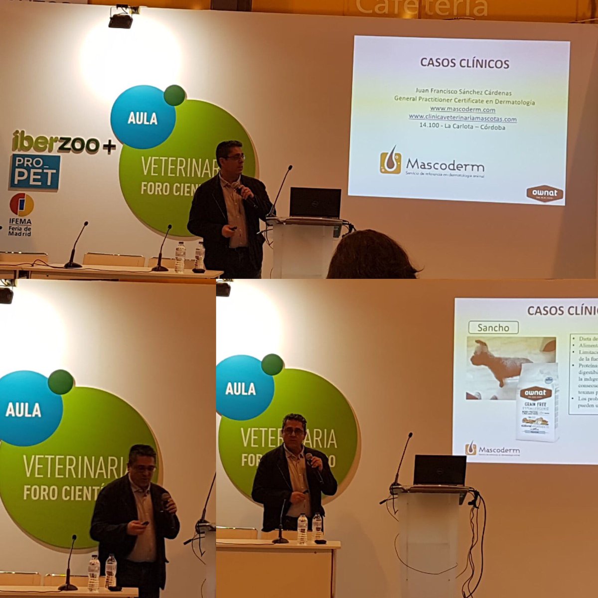 mascoderm_cv's tweet photo. VetMadrid 2019 en Aula Técnica para hablar de reacciones adversas a los alimentos en animales de compañía. #cotecnica #ownat #mascoderm https://t.co/kNBffghaAp
