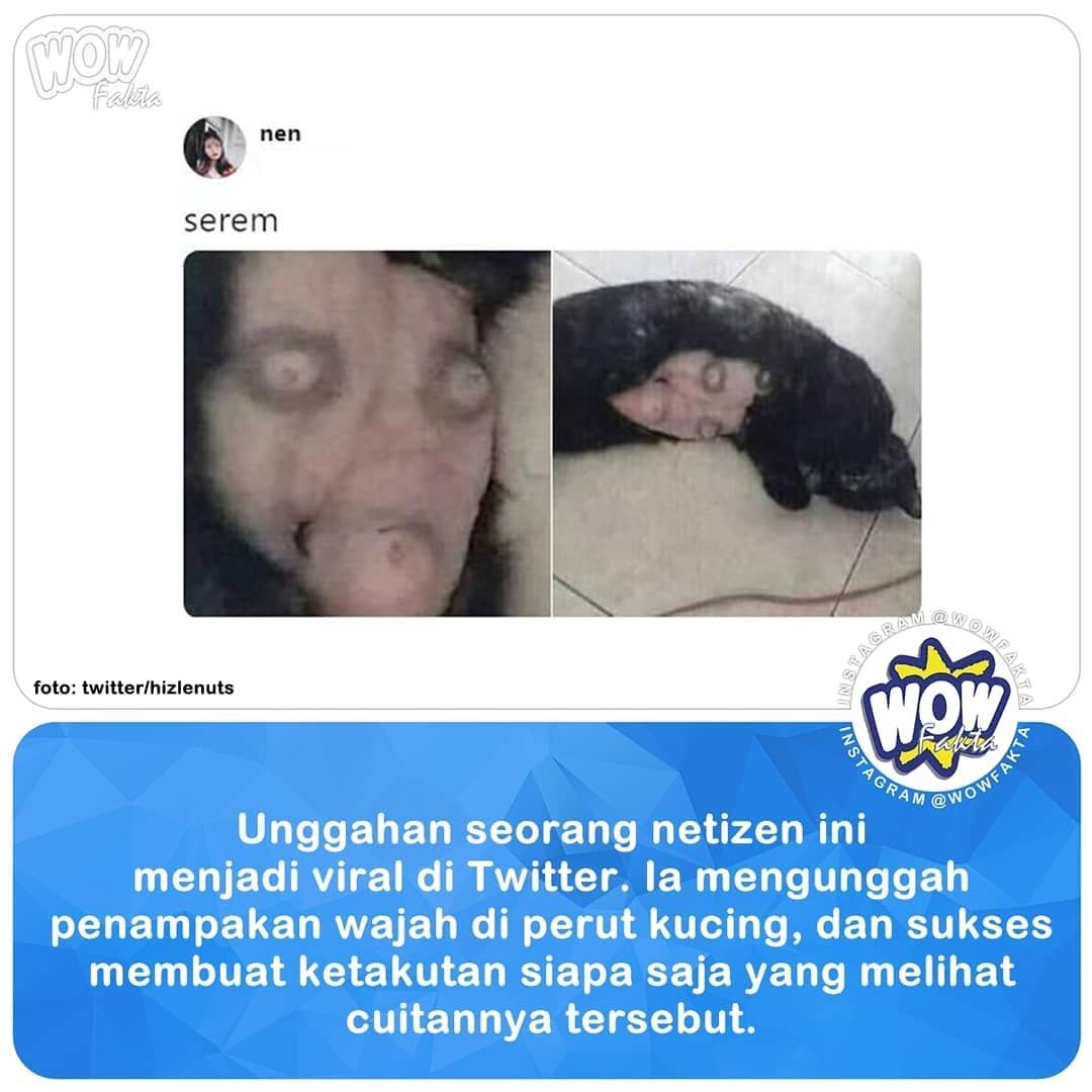 Unggahan hizlenuts pada Senin (18/9/2019) menjadi viral di Twitter. Mengunggah penampakan wajah di perut kucing, hizlenuts sukses membuat ketakutan siapa saja yang melihat cuitannya tersebut...
.
.
https://www.instagram.com/p/BvVdW-Eg6Hi/
.
.