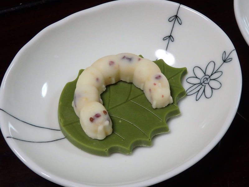 公真 蚕好きなら世界遺産の富岡製糸場オススメ 製糸工程の見学から蚕型のチョコまで ありのおひめさま