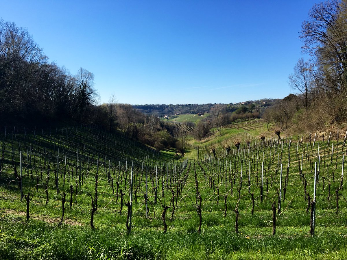 per4piedi's tweet photo. La geometria della #corsa. 
Vigne di #Prosecco in diagonale, torri di castelli in verticale, sorrisi a tutto tondo 😉.

#4piedi #MakeItBright #iocorroqui

@runlovers @Diadoraofficial @GocciadCarnia @AroundAboutTV https://t.co/A1wPsvgsX8