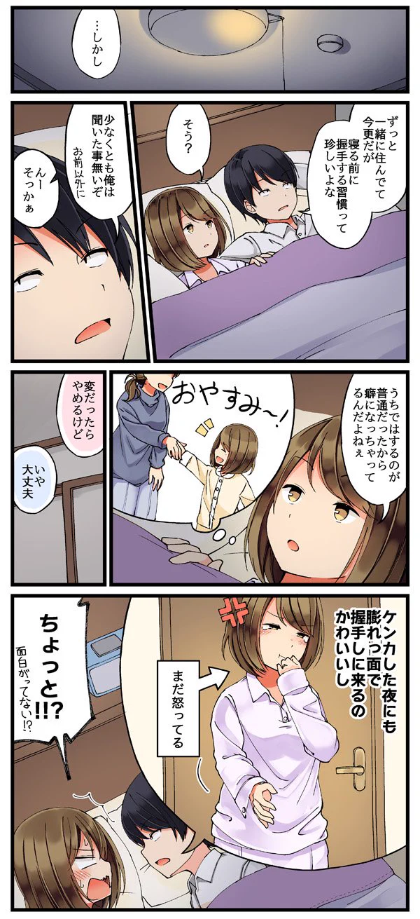 寝る前に握手する習慣とか可愛過ぎない？ケンカしてても握手はするんだねww