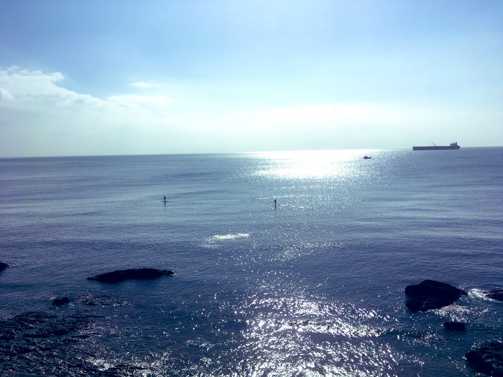 Darren Kelly tweet media