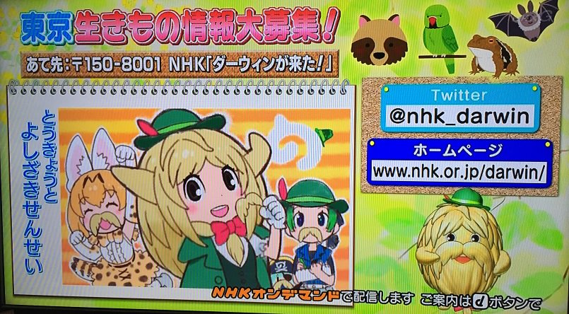 ポー君 うっぱーno 5 ヒゲじいがフレンズ化しやがった ダーウィンが来た けものフレンズ けものフレンズ２