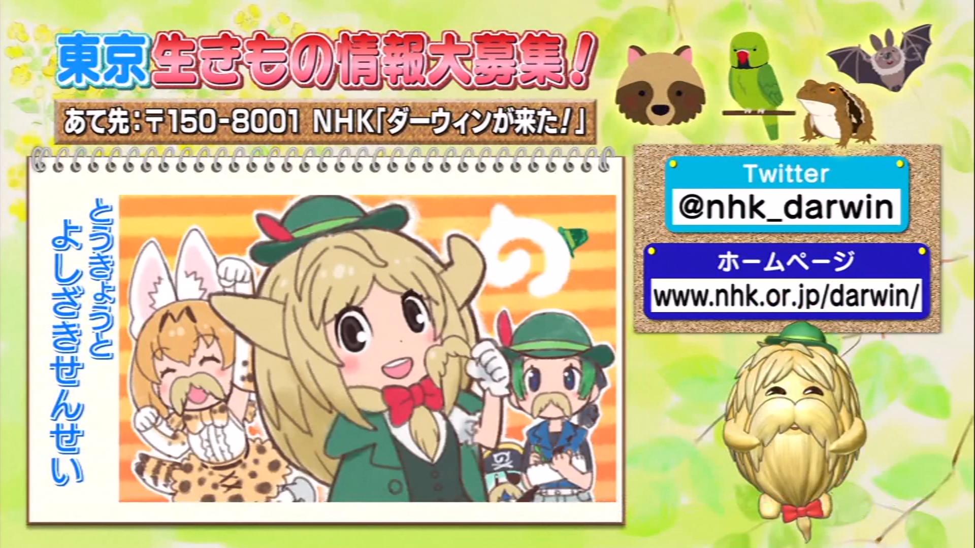 Ixa 夢のコラボ ダーウィンが来た けものフレンズ Ixa 夢のコラボ ダーウィンが来た けものフレンズ