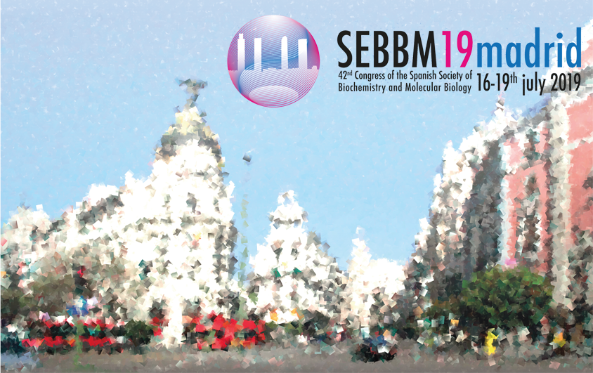 ComunidadCeru's tweet photo. The @42congresoSEBBM will take place in Madrid on 16-19th July. @raicex_es members are encouraged to present their  work at this Spanish annual Biochemistry and Molecular Biology Congress. Abstract submission deadline April 15th. @SEBBMDivulga Details: https://t.co/pvanpoTyUM https://t.co/EbKyTBkxZ1