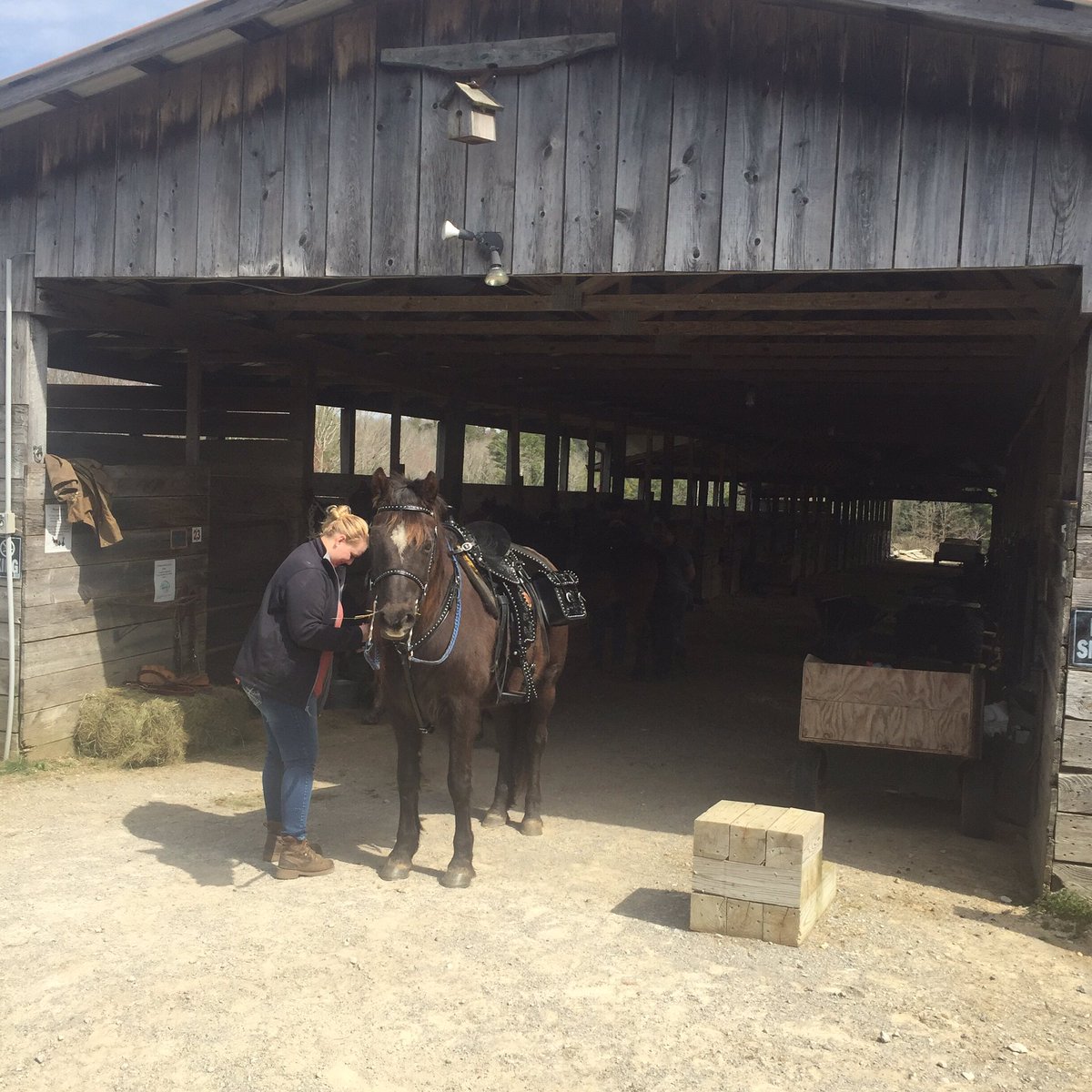 TrueWestCamp's tweet photo. @TrueWestCamp camp guests are heading out. Great day for a #trailride today in @BigSouthForkNPS!  What are you doing today? https://t.co/kLIPwS0tfo