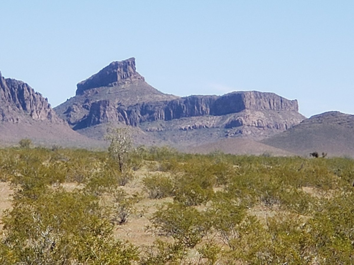 JoeHauser's tweet image. SW Arizona Sphinx.