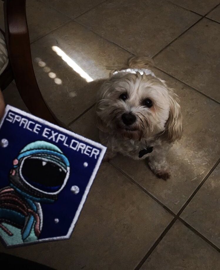 astroalyssa's tweet photo. @PlanetDr https://t.co/H5NF1otAjU