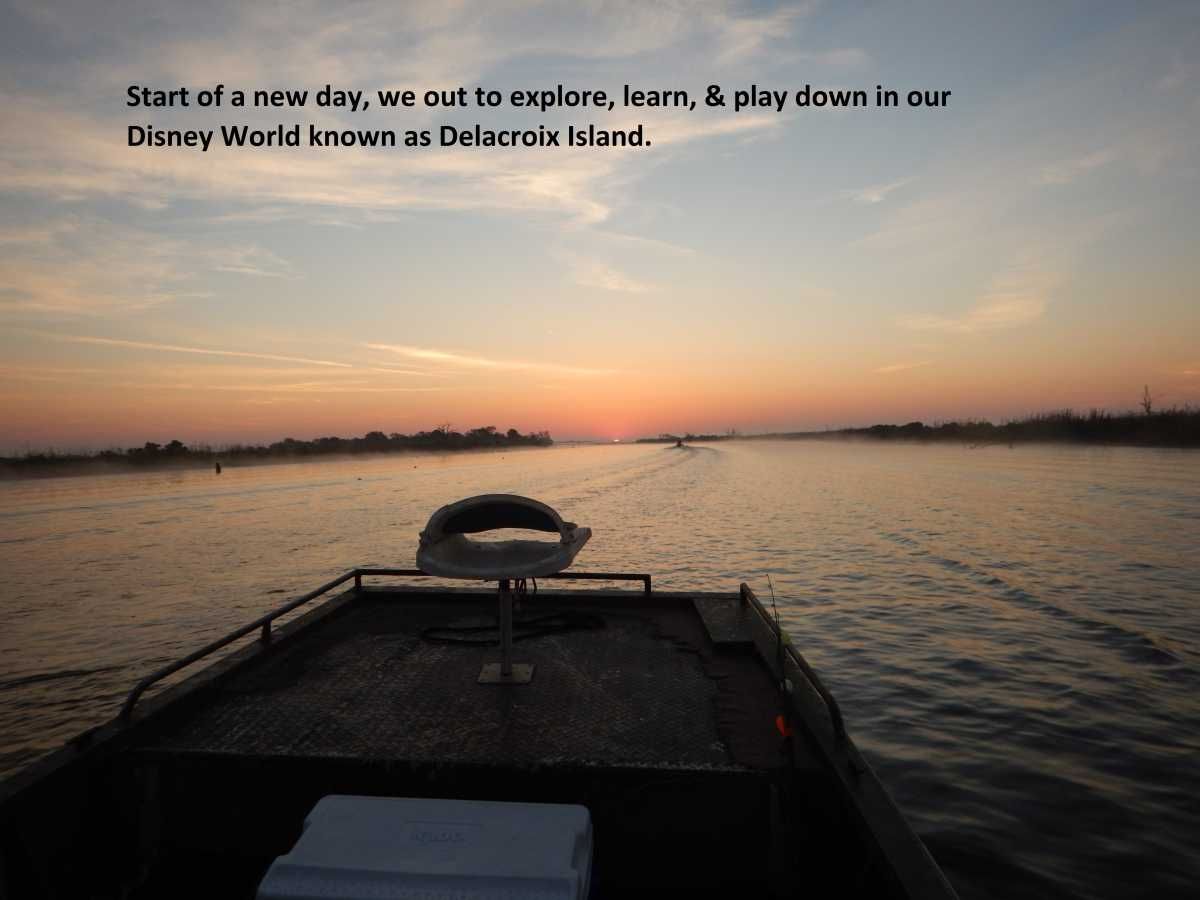 All RnR reports by   
Link:  rodnreel.com/report-author/… 
 Delacroix time