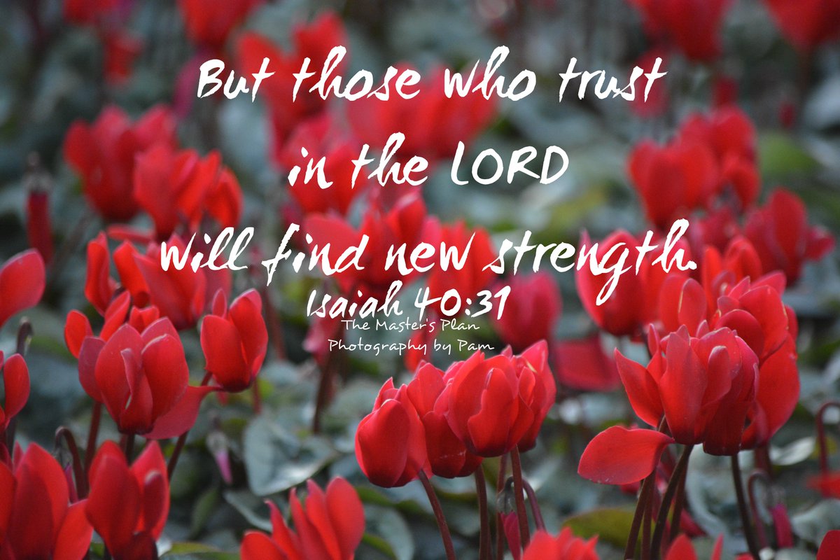 MastersPlan3's tweet photo. Getting a dose of new strength for the week ahead at church today ❤️ #SundayMorning  #SundayMotivation #bibleverse #theMastersPlan #SundayThoughts  #SundayService  #strength #hope #church #votd #potd #Encouragement https://t.co/B7fsxkfTwS