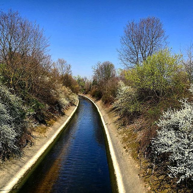 marmaz's tweet photo. Entrando nel bosco incantato.

#milano #AbbracciaMI #bici #itinerari #parchi #boscoincittà #parcoditrenno #olona #deviatoreolona https://t.co/l7ZQCoAFj3 https://t.co/erHp6Ho8h8