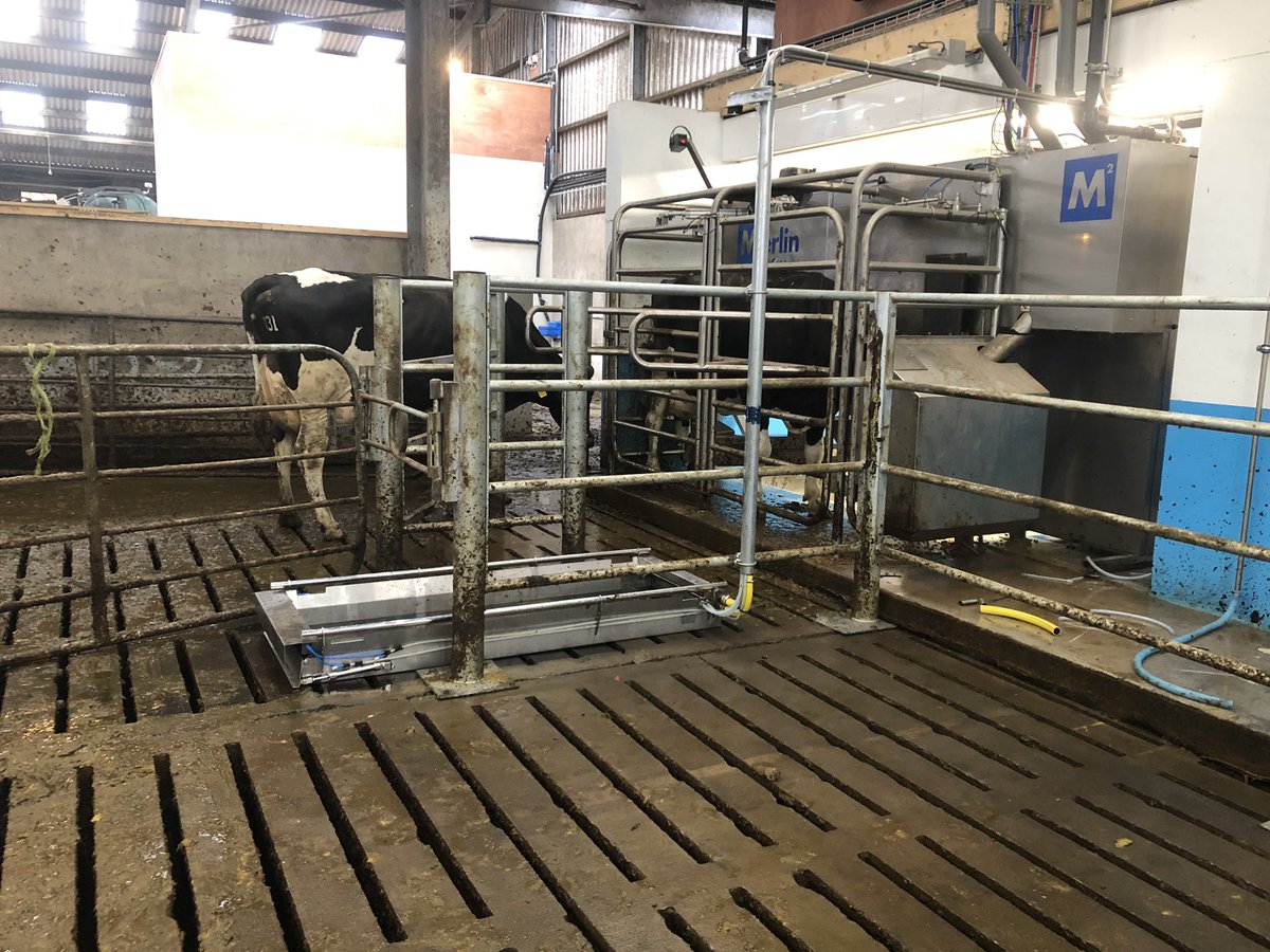 mckee_ni's tweet photo. Super automatic Fabdec foot baths installed on a new 4 Fullwood Merlin robot site. @fabdecltd @FullwoodPackoUK https://t.co/fI2u4owuo6