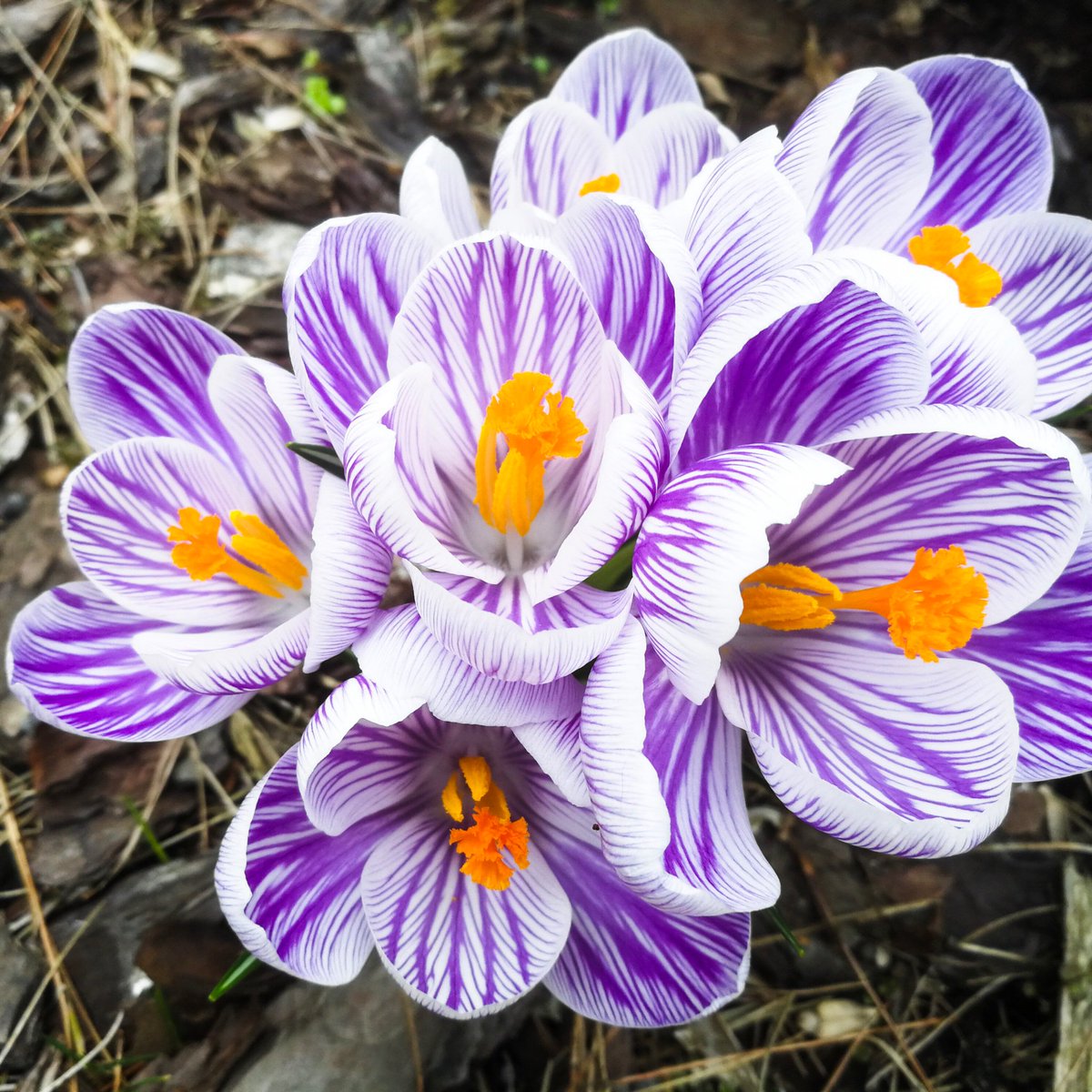 visualcoach_ann's tweet photo. The spring is so it is a good time for creating sth new, brand new start or changes. 
⭐️ What change will you initiate? ⭐️
Enjoy your Sunday 🤩🌞!
#visualcoach #growth #change #zmiana #rozwój https://t.co/YrqcJ3WxI4