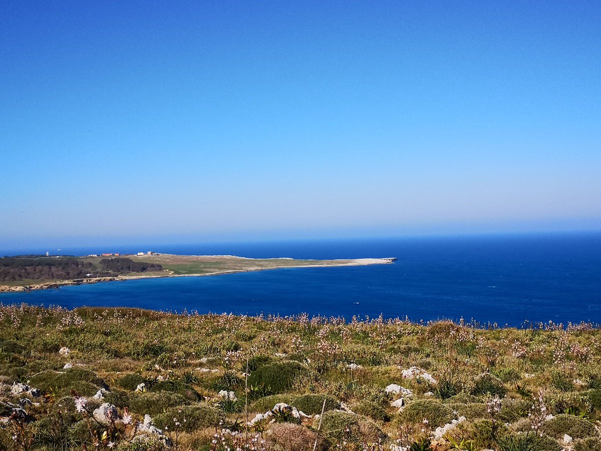 flaviaserr's tweet photo. #salento #nofilter #spring #badisco #otranto #cavadibauxite #weareinsalento #weareinpuglia #nature #FotoWeek https://t.co/hYgN8yN7Uq