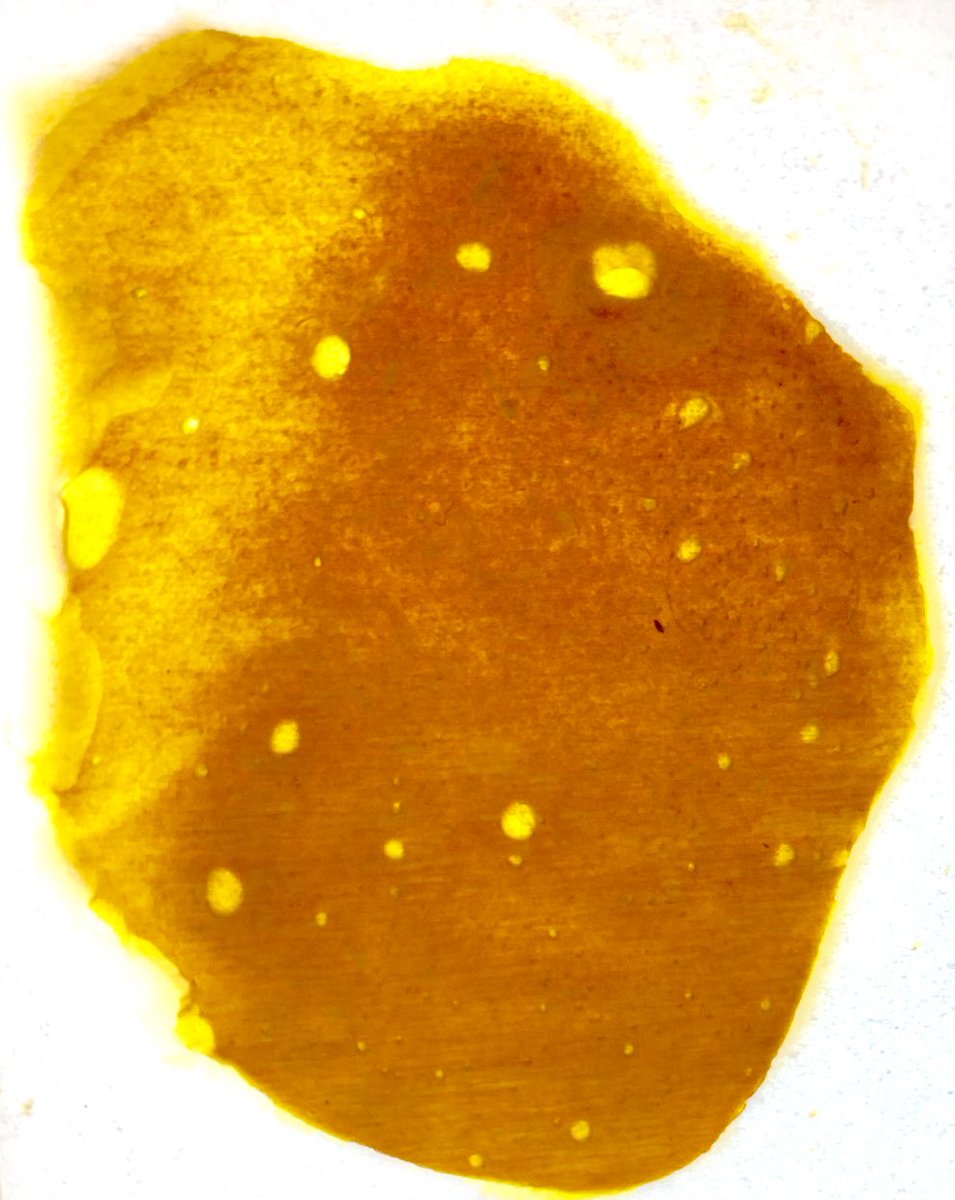 EmeraldZoo's tweet photo. #HotOffThePress has a whole new meaning these days. #Rosin #SolventlessExtraction
#JetFuel Who’s down for some #SundaySiningZooStyle
Somehow I feel a serious need for a hot nail, a fresh rig and some serious time to reset the mindset. #ZooSundayMorning Slabs 4 u @AtlWrika01 https://t.co/eGG6ldgE9L