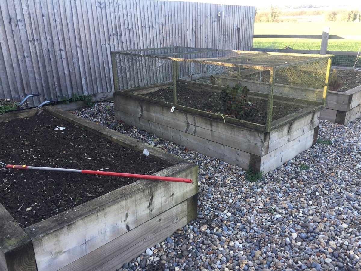 The_Barker_Boys's tweet photo. As part of my #localmarch I have tackled the 3 jungles in my garden! Wrongly or rightly I have removed the overwinter covercrop completely, so no nutrient release but last years returning in form of compost! Now what to plant? #field2fork 15 meters but lots of sweat! https://t.co/N4m7TKDQMk