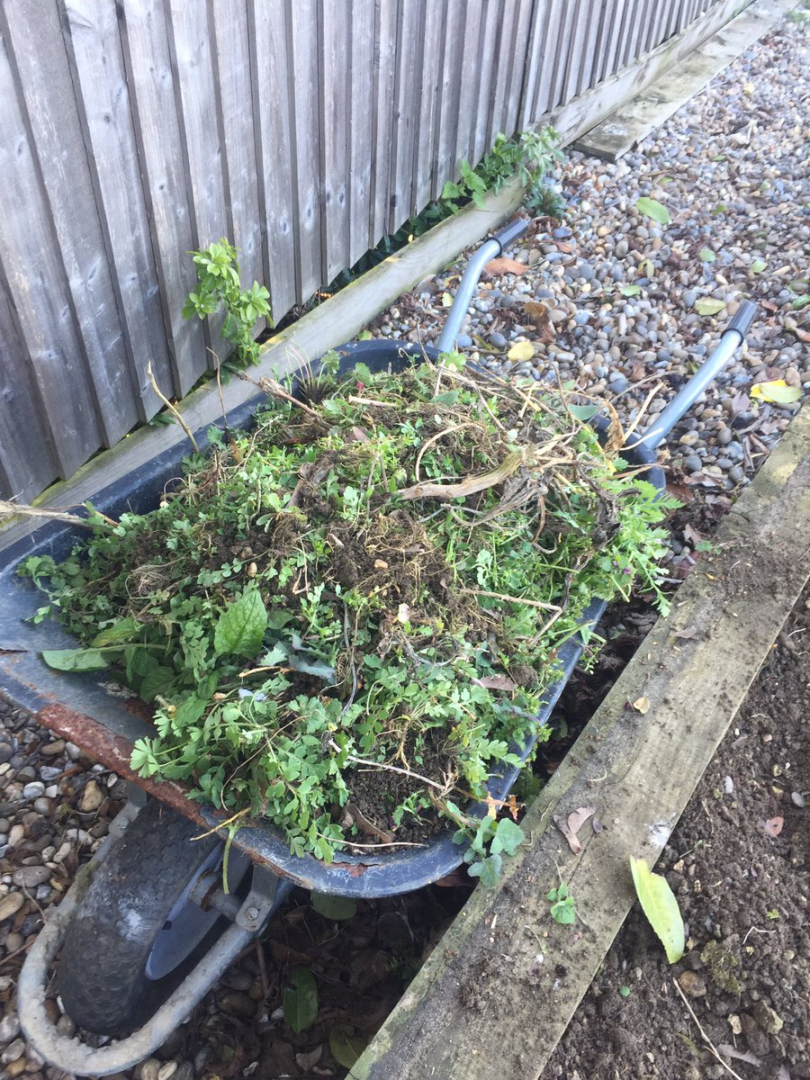 The_Barker_Boys's tweet photo. As part of my #localmarch I have tackled the 3 jungles in my garden! Wrongly or rightly I have removed the overwinter covercrop completely, so no nutrient release but last years returning in form of compost! Now what to plant? #field2fork 15 meters but lots of sweat! https://t.co/N4m7TKDQMk