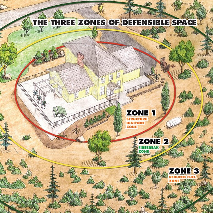 Are you Firewise? Did you know that 2019 is the last year you can claim up to $2,500 as a write off on your Colorado State taxes if you're a permanent resident? We can help you with the rebates and the prescription.

#treebiz #firewise #defensiblespace #wildfiremitigation