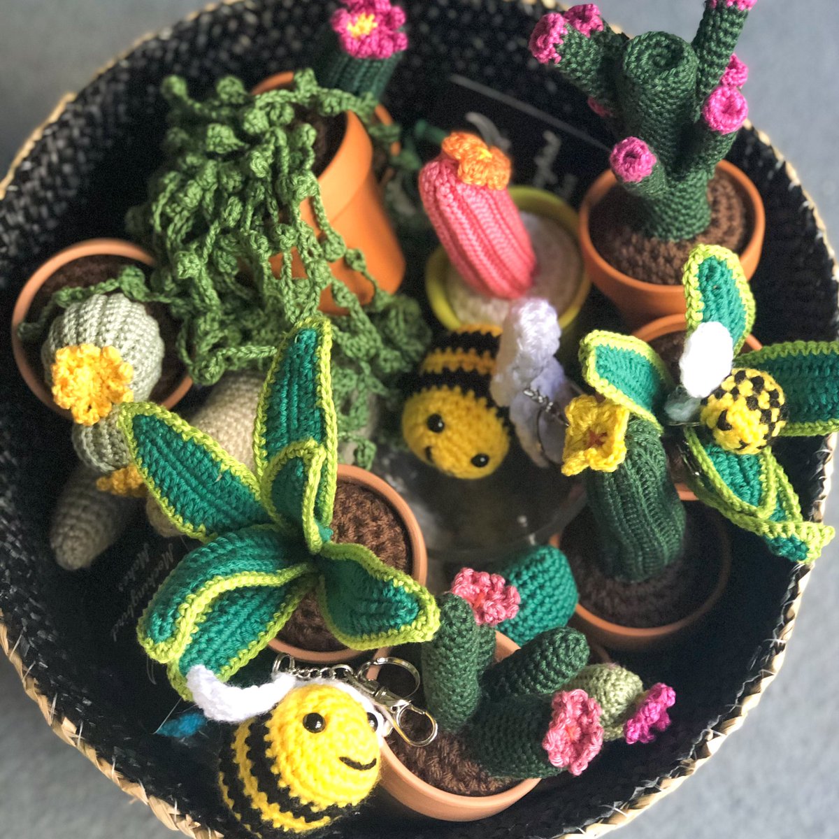 mbird_makes's tweet photo. Basket of goodies for @Green_Rooms_ making me smile 😁 #cactus #cactusmaker #cactuslover  #plantsyoucantkill  #unkillablecactus #unkillableplants #easyplants #crochetcactus #succulents #hangingplants #stringofpearls #handmade #handmadegifts #fauxliage #fauxcactus #fauxsucculents https://t.co/xw6gGGmX9J