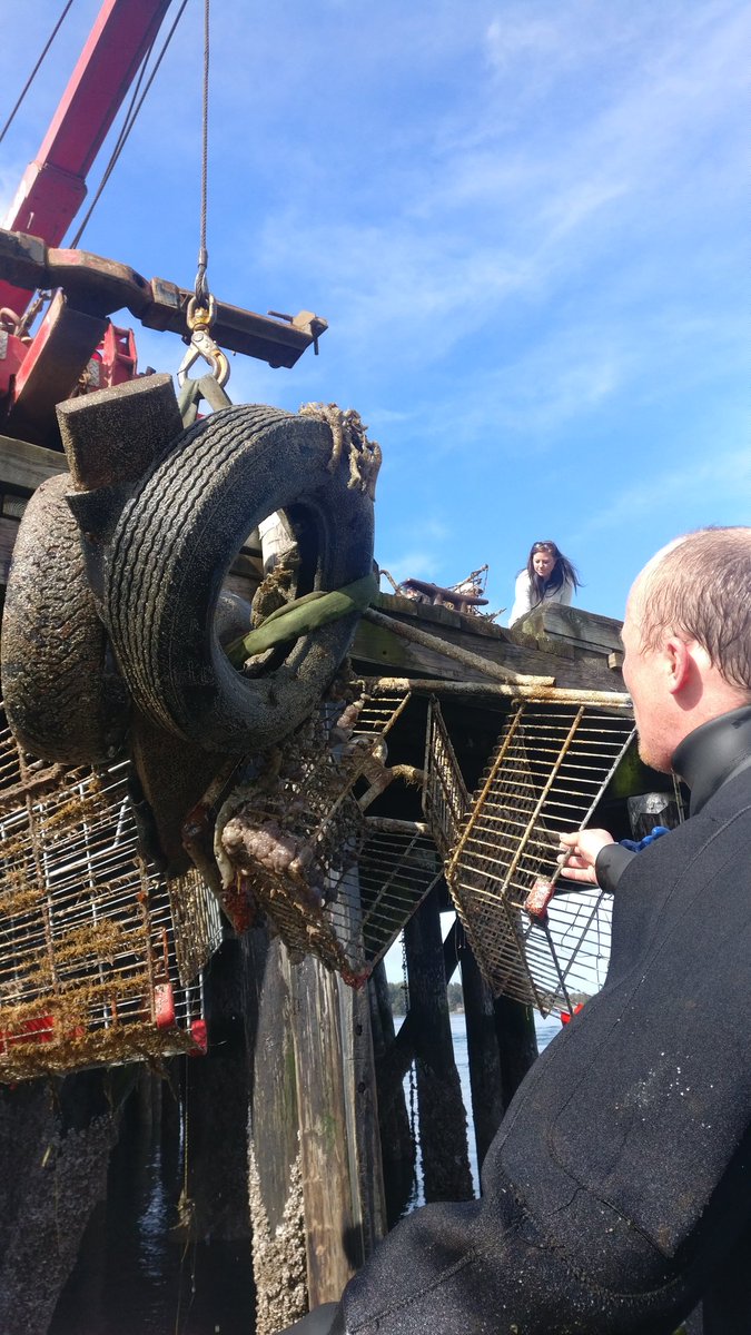 Yesterday's cleanup in association with <a href="/Surfrider/">Surfrider Foundation</a> in #Tofino BC was a huge success! Thanks to all involved we pulled out all kinds of marine debris, not least of all 14 shopping carts! <a href="/GGGInitiative/">GGGI</a> <a href="/tourism_tofino/">Tourism Tofino</a>