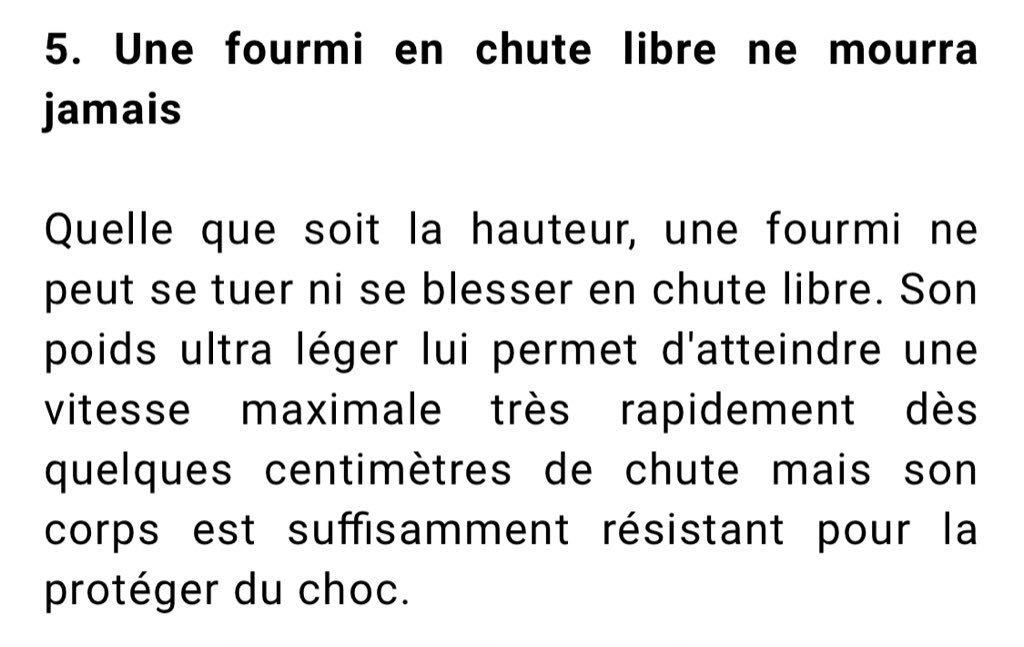 kiffeur's tweet photo. J’commences avec le fait qu’une fourmis peut taper son meilleur salto de la tour eiffel avec au DD dans les oreilles elle mourra même pas de sa chute j’trouves ça fascinant https://t.co/JQUDPhc0iv