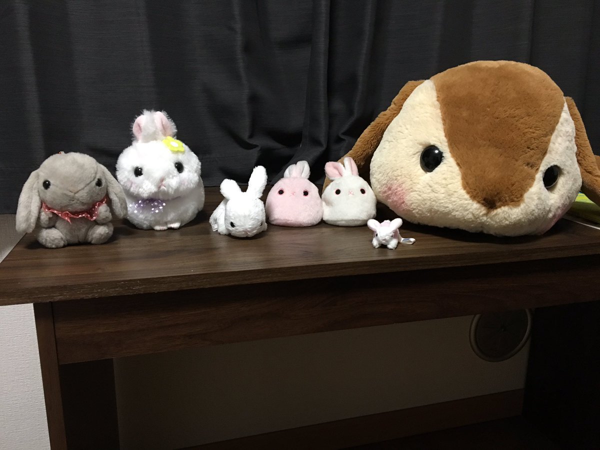 FlyaSight's tweet photo. 引越し先にもしっかり持ち込んできています

#ラビットデパートメント https://t.co/rf2suCJRg0