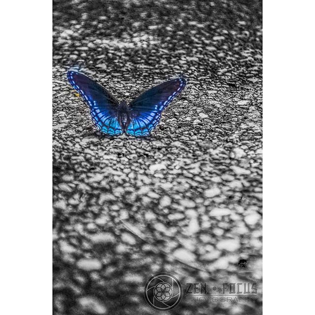 Zenfocusphotog1's tweet photo. Off Center - .
.
.
.
.
.
#everything_imaginable_ #earth_shotz #everlasting #elusivecaptures #thecreative #allforcreating #agameoftones #shotzdelight #splendid_shotz_ #sambresociety #sombrescapes #depthoffield #dametraveler #d500 #flashesoflight #folkmagโฆ https://t.co/GRiIEB78wk https://t.co/8MuS9W2nI0