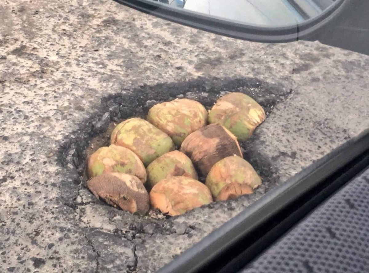 adoptaunhoyo's tweet photo. #AdoptaUnHoyo #PuertoRico #potholes #pothole #abriendocaminos  #coconut #hoyo #hoyos #baches #bache #buraco #buracos #adoptaunbache #cheosantiago #坑洼 #alhafr #huller #Schlaglöcher #buche #выбоины #çukurlar https://t.co/ti79YBNzV4