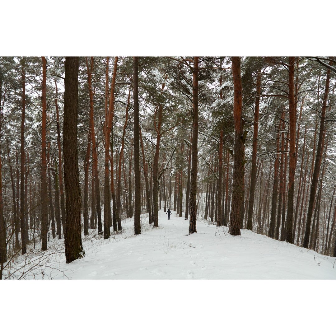 leoincolor's tweet photo. Going through the archives, I found this gem from Vilnius winter. #vilnius #lithuania #winterforest https://t.co/fAfaH5Pl70