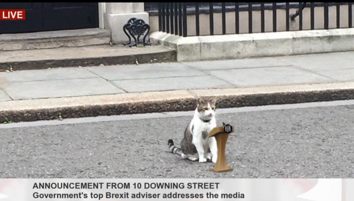 BurnBanksy's tweet photo. Calls for Larry The Cat to leap in as Caretaker PM

8 out of 10 people said he would definitely do a better job! https://t.co/tWXIRHss3h