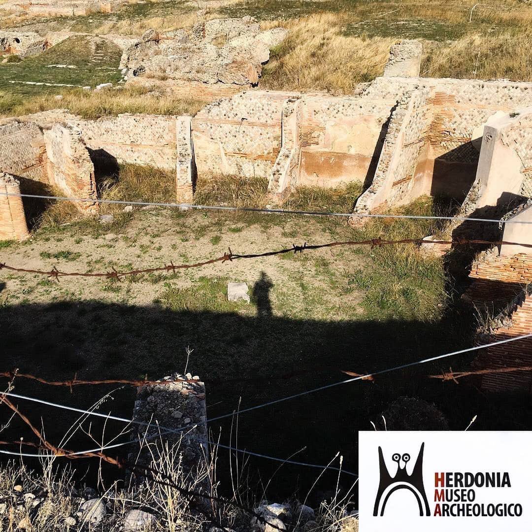 'LA LUCE NEL MERCATO HERDONITANO'
Ringraziamo @mauromasocialmedia per questo scatto!📸
▪
(Herdonia, vista coi vostri occhi e raccontata da noi...👌🏺)
▪
#Herdonia  #light #romanruins #romanarchitecture #parcoarcheologico #Ordona #Puglia #foggia_city #ig_foggia #herdoniamuseo