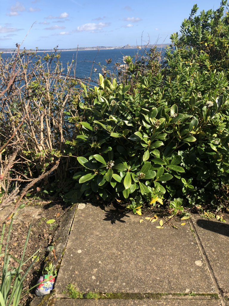 Mark Davey tweet media