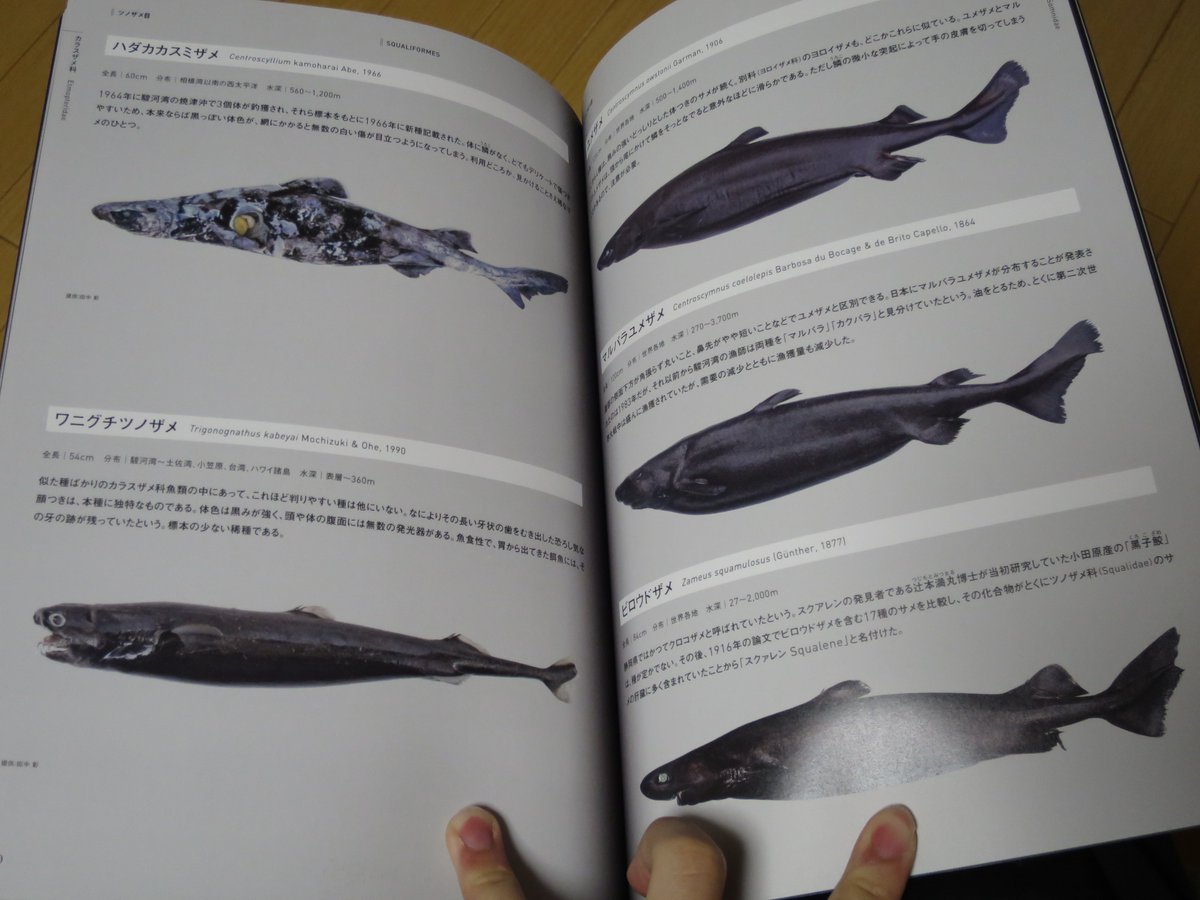 てらむら tweet media