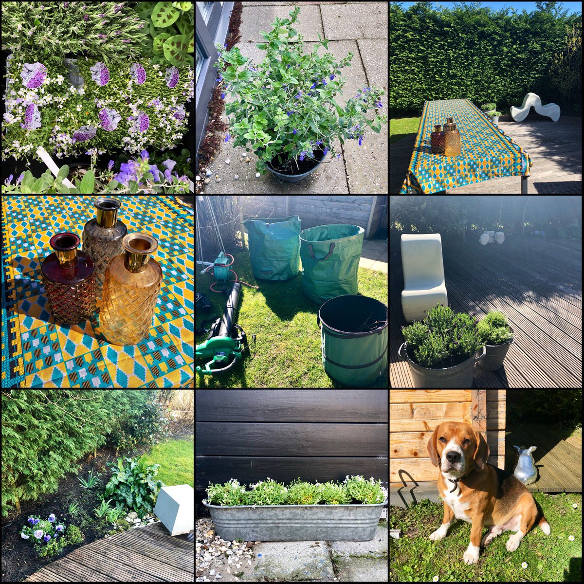 LiLaLente in villaweltevree.nl 😎 #fijnvoordegasten #fijnvoorons #LeveZeeland2019