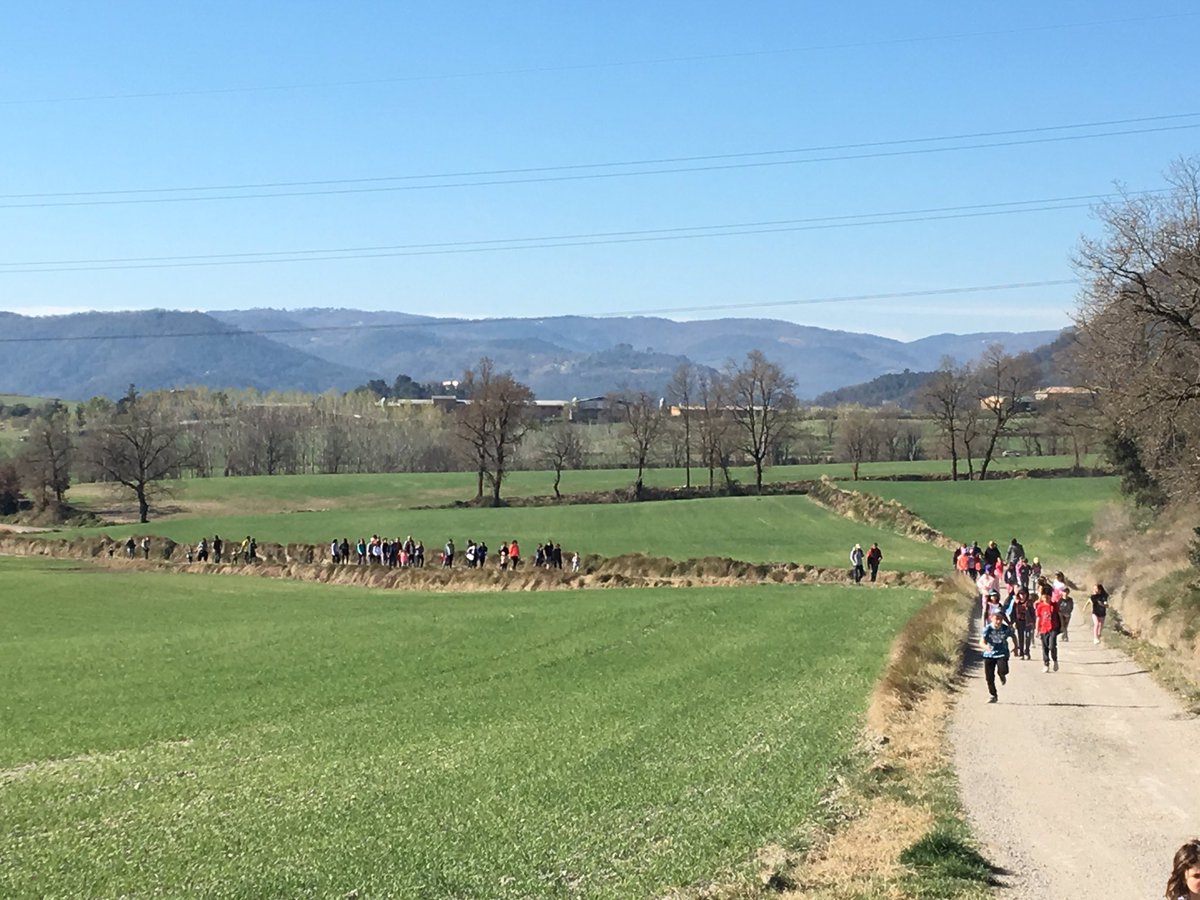 AmpaAndersen's tweet photo. Molta participació a la sortida a la Natura d’avui fins a a St Roc
Hem trobat fòssils, petjades d’animals, pistes, un bosc encantat...
Grans i petits hem gaudit d’allò més!
I amb un temps esplèndid!

Gràcies a tots els que hi heu participat!! https://t.co/sJSX12YkOD