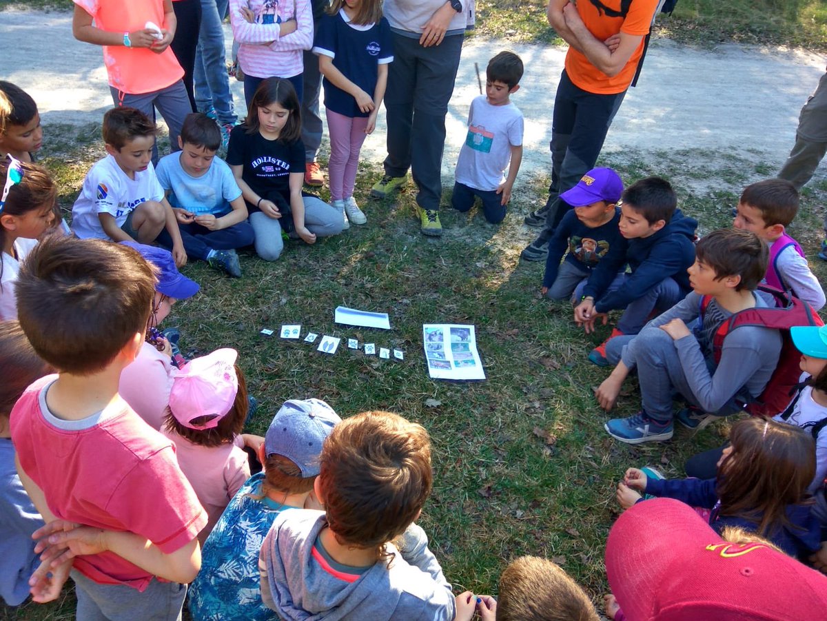 AmpaAndersen's tweet photo. Molta participació a la sortida a la Natura d’avui fins a a St Roc
Hem trobat fòssils, petjades d’animals, pistes, un bosc encantat...
Grans i petits hem gaudit d’allò més!
I amb un temps esplèndid!

Gràcies a tots els que hi heu participat!! https://t.co/sJSX12YkOD