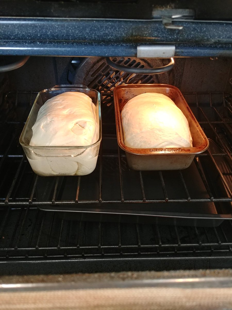 tenwattandrew's tweet image. The powers of suggestion.....  I see some great people discussing bread and now here I am trying to hone my skills
#breadchat 🍞