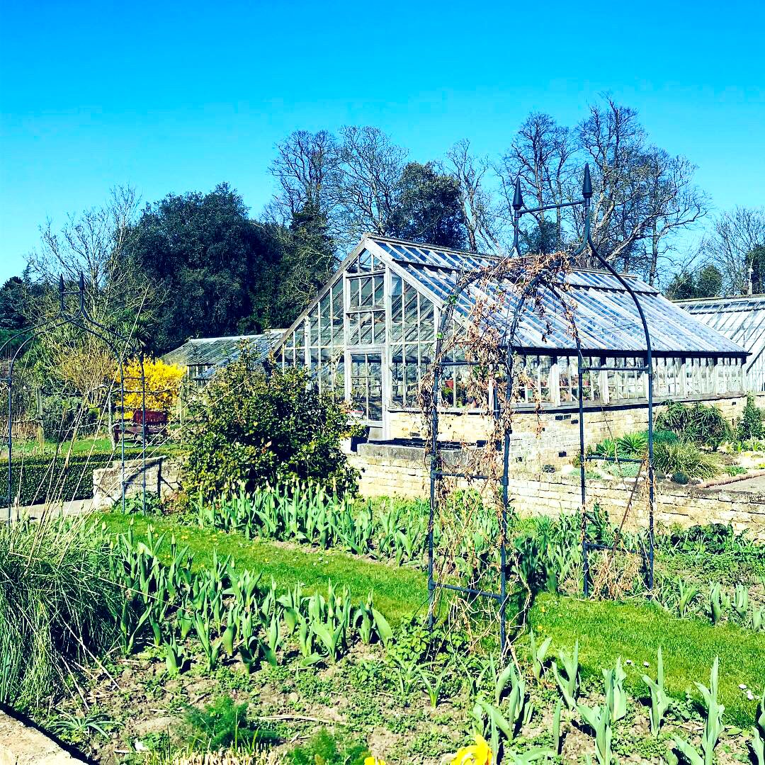 Made_of_Kent's tweet photo. What a beautiful day! We decided to head over to @quexpark and it never seems to disappoint. Endless amounts of space in the gardens for little ones to run around...plus an enchanted garden, greenhouses, a farm... https://t.co/1PHJ9JDCG6β¦ #kent #madeofkent https://t.co/eEKlg6VcpP