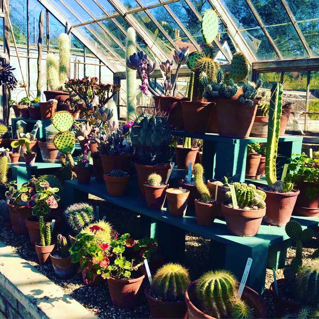 Made_of_Kent's tweet photo. What a beautiful day! We decided to head over to @quexpark and it never seems to disappoint. Endless amounts of space in the gardens for little ones to run around...plus an enchanted garden, greenhouses, a farm... https://t.co/1PHJ9JDCG6β¦ #kent #madeofkent https://t.co/eEKlg6VcpP