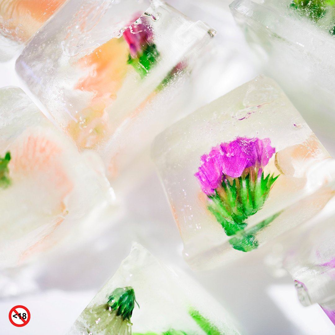 ABInfusions's tweet photo. Defeat the heat by freezing some Infusions Mint, Lemongrass and Aloe's  with fresh mint leaves in an ice tray. Pile the ice blocks in a tall glass and poor over some lemonade. Tasty! 
#summer 
#fresh 
#frozen 
#drinks 
#lemonade 
#Infusions https://t.co/B42TVGzqEp