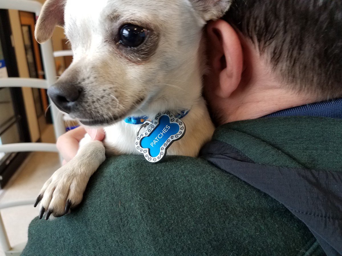 HoustonSPCA's tweet image. Join us TODAY at Petsmart Almeda from 11a - 3p! We will have a few of our adoptable animals that are in need of a forever family. Comment below and let us know if you are coming out! 👇 #mobileadoptions #adoptablepets

10075 Almeda Genoa RdHouston, TX 77075