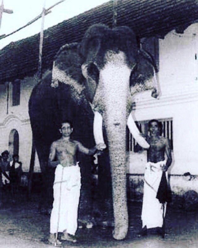 innoz's tweet photo. A TRIBUTE TO GURUVAYUR GAJARAJAN KESAVAN @innoz logo inspiration🐘🙏🖤 https://t.co/mYWttNRrIK