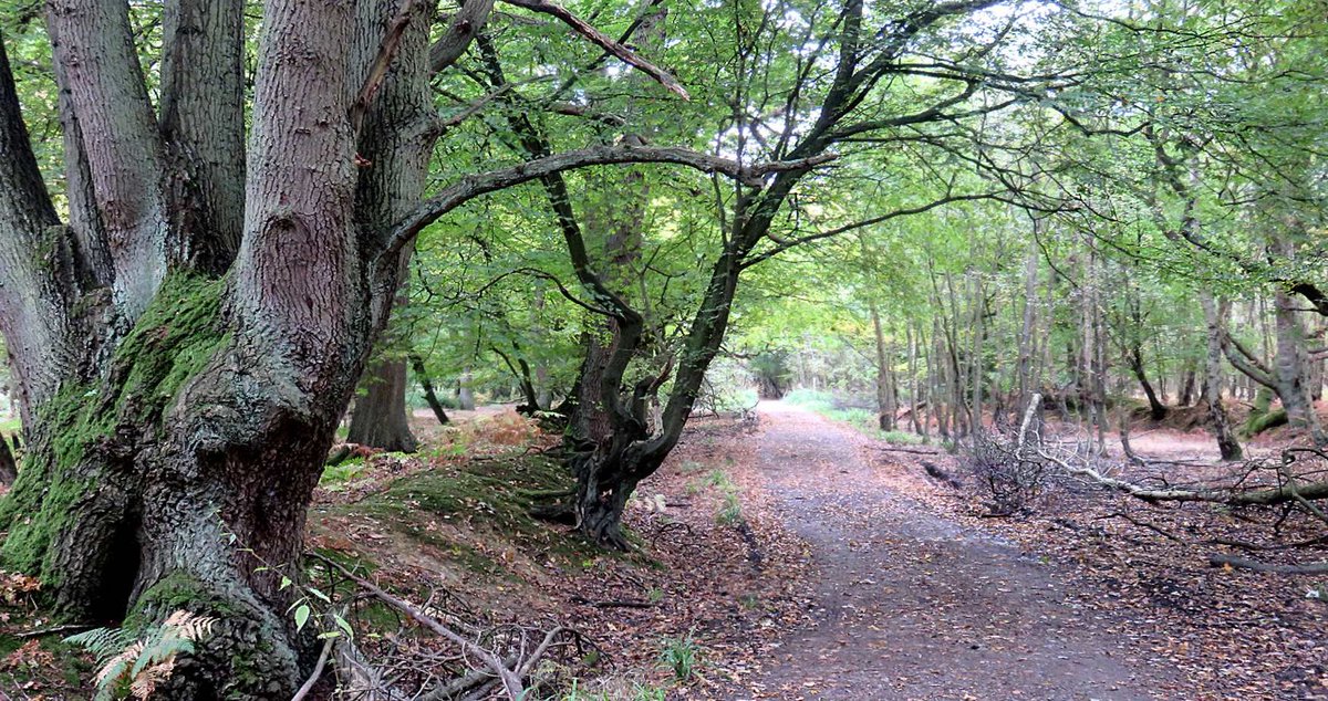 Let Me London East tweet media