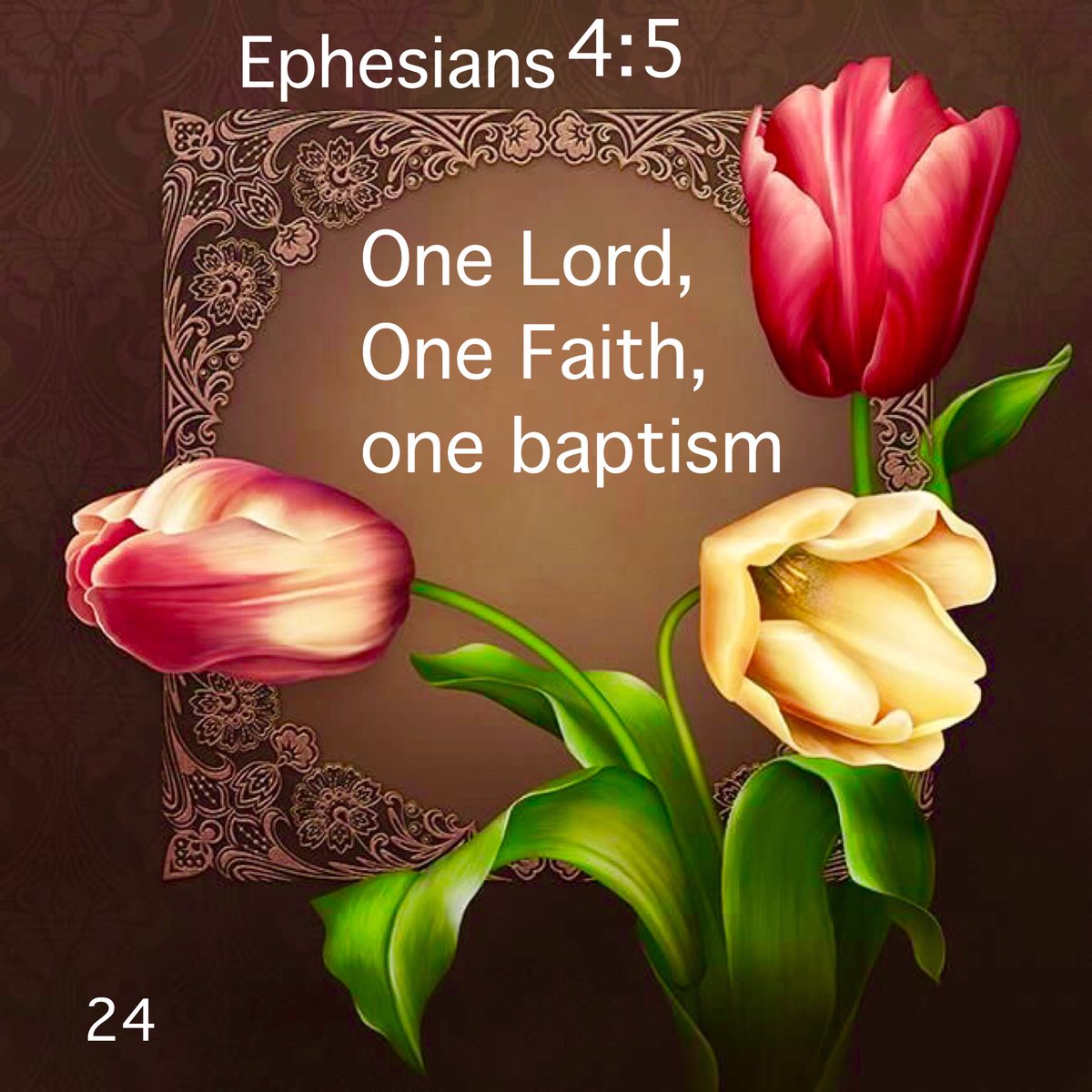 preacher27's tweet photo. #GiveMeTheBible 📖❤️💛 https://t.co/a06PHZGspW