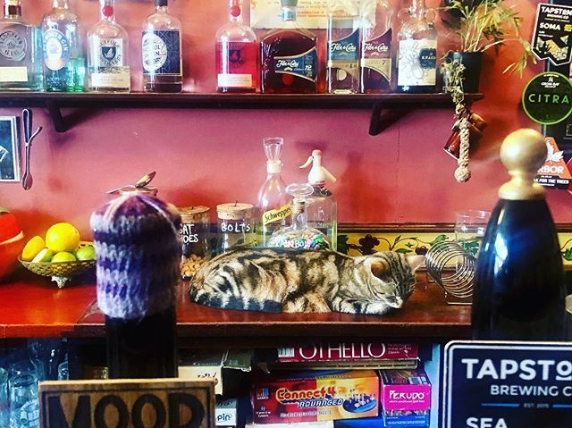 ljbarnard's tweet photo. #meowkindaplace Bag o’ Nails in Bristol where cats are stroked while pints are pulled #catsofinstagram https://t.co/AZyg4mc4Wj