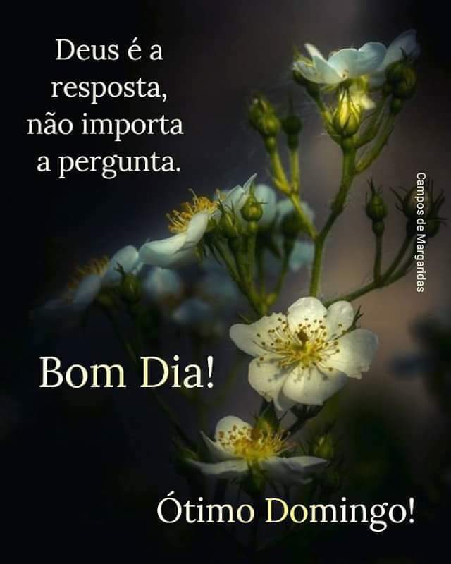 Bom dia Itapira - 11/12/23