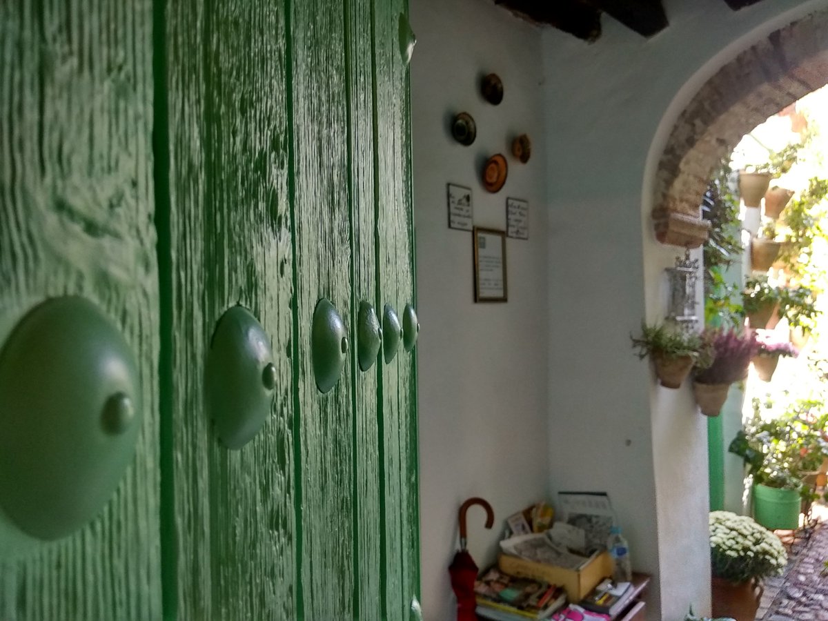 PatioCosturera's tweet photo. abrimos la puerta #elpatiodelacosturera

#lugaresquevisitar #placestovisit #vacaciones #holidays #hiddenplaces #flores #flowers https://t.co/QoUv42hW8F
