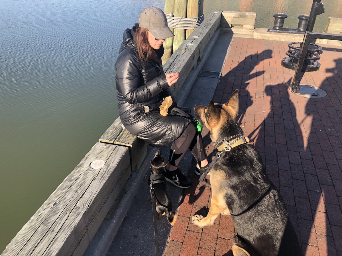 Martin Bartness (@martinbartness) on Twitter photo A beautiful Sunday morning in #CharmCity to enjoy a walk in #FellsPoint with the dogs and baked goods from <a href="/PitangoGelato/">Pitango Gelato</a>. A beautiful Sunday morning in #CharmCity to enjoy a walk in #FellsPoint with the dogs and baked goods from <a href="/PitangoGelato/">Pitango Gelato</a>.
