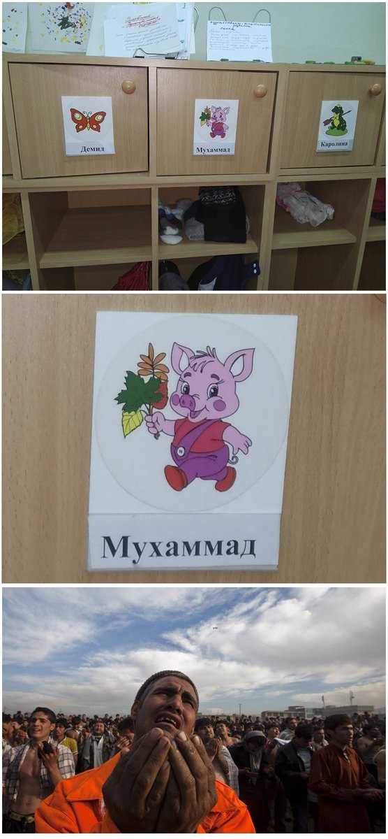 D2bWMgmWsAA6vri?format=jpg&name=medium