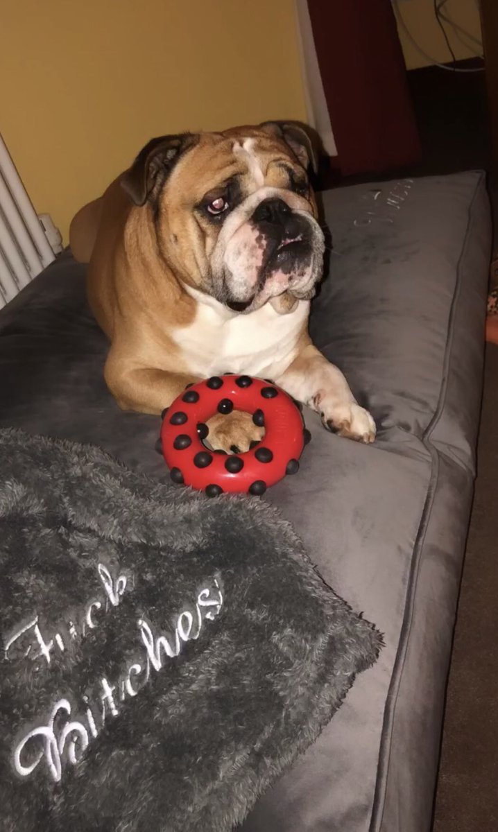 jamietweets_'s tweet photo. Winston’s is such a G #fuckbitches https://t.co/v8pTqn5TL0